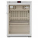 Шкаф Бирюса холодильный фармацевтический 150S-G