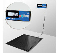 Весы 4D-PMF-20/15-1000-A(RUEW) электронные платформенные врезные до 1000 кг